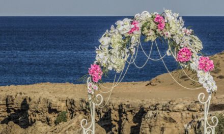 Which wedding arch is the best for your wedding?