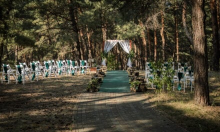 Forest wedding: how to arrange a romantic wedding in the woods